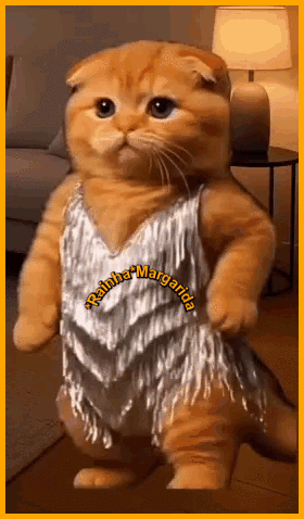71.gif