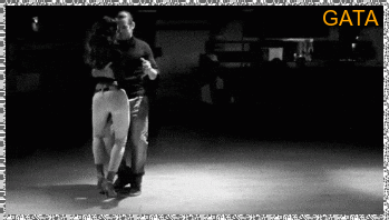 GIFS.gif