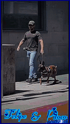 08.gif